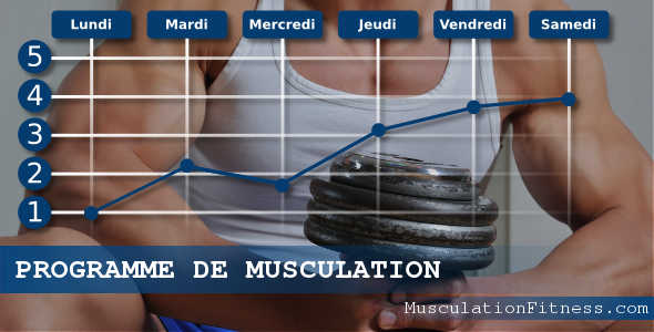 programme-musculation