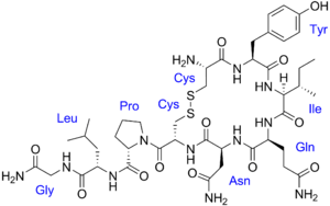 300px-Oxytocin_with_labels