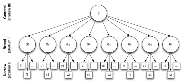 Carroll_three_stratum_model_of_human_Intelligence
