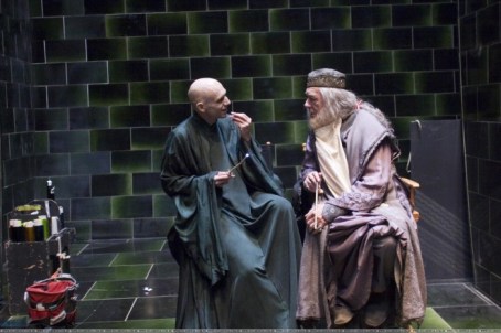 voldemort-and-dumbledore-700x466